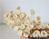 1547626270702287.jpg 640.webp (13).jpg