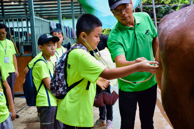 1657097585329621.gif 4.gif