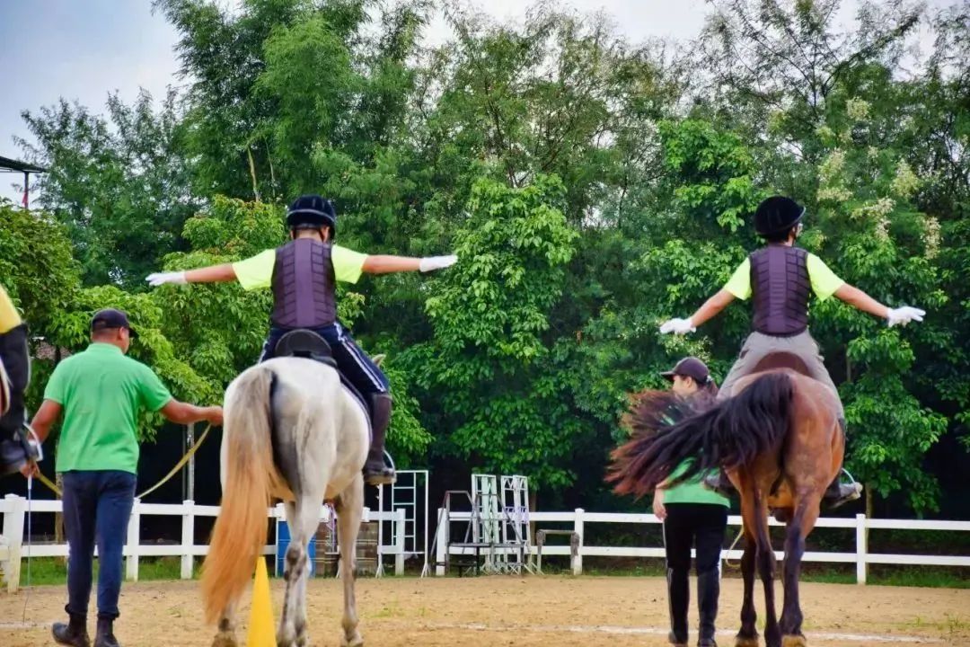 1657097824176296.jpg 17.jpg